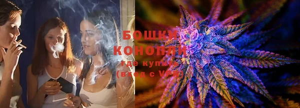 молекула духа Горно-Алтайск